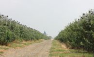 IMG_2221.jpg