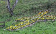 IMG_2807.JPG